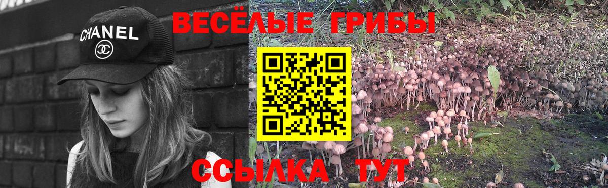 Псилоцибиновые грибы Psilocybe  Вход с VPN  Соль-Илецк 